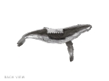 ''HUMPBACK WALL HANGING 12