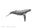 ''HUMPBACK WALL HANGING 12